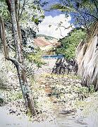 Path in Los Guaimaros  1997